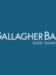 Thumbnail of: Gallagher Bassett  Team Member
